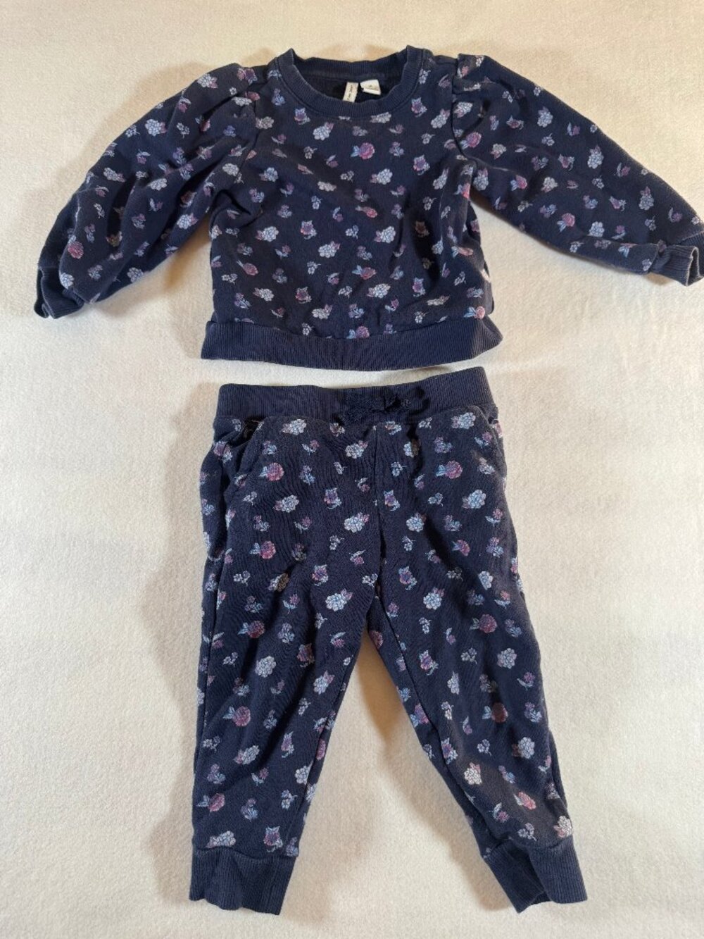Janie and Jack Girls 2T Navy Floral Sweatshirt Jogger Pants Matching 2 Piece Set